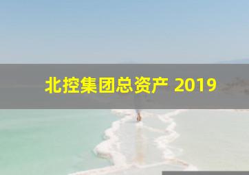 北控集团总资产 2019